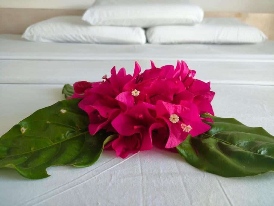 Kupenda House - Milele Resort Tamu, واتامو المظهر الخارجي الصورة
