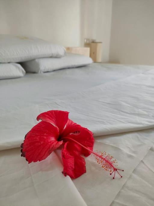 Kupenda House - Milele Resort Tamu, واتامو المظهر الخارجي الصورة